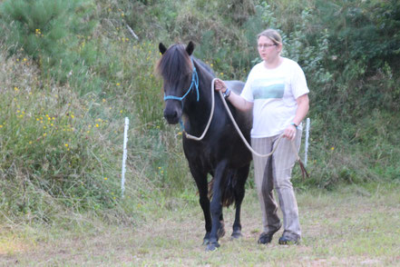 Pferdegestützte Therapie zur Förderung sozialer Kompetenz und Selbstsicherheit.